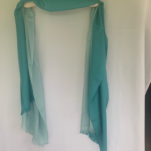 Eureka Kashmir Scarf Shawl Modal / Wool Mint Green Wrap Fringe 28 x 72 - Picture 2 of 6